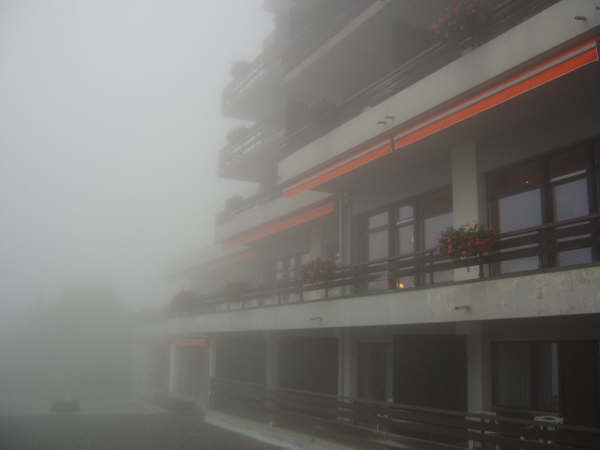 SHV2005_zhao01.jpg