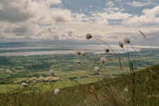 A011.jpg (898835 Byte)