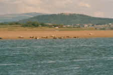 A018.jpg (784277 Byte)