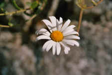 A028.jpg (642206 Byte)